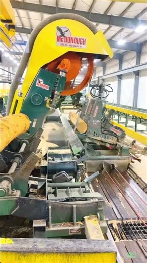 Double Blade Sawmill