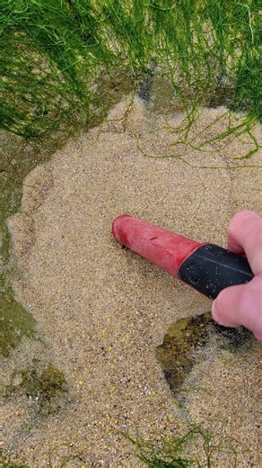 Detectado JUSTO en la VETA!