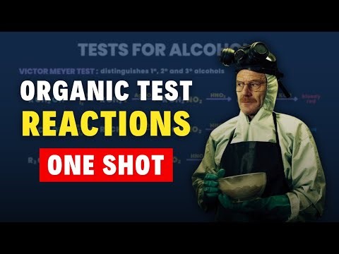 All Organic Tests in One Shot | JEE Mains 2024 | 4 Marks Guaranteed