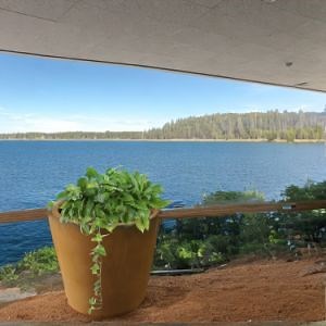 [Hot Item] Outdoor Metal Planter Rectangular Flower Pot