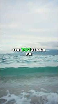 Tongan History: Family, Burial Traditions & Tu'i Tonga #shorts