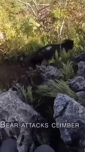 281K views · 3.9K reactions | Catskill Outdoors on Reels | Facebook