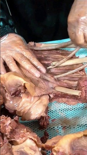 Goat ribs recipe | smoked goat