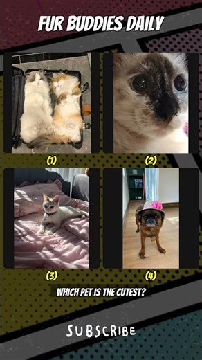 Adorable Pet Memes That Will Make Your Day 🐶🐱 | FurBuddiesDaily | 27 Mar 2026