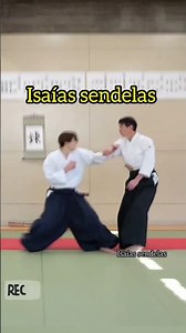 karaté or Aikido , which is the best marcial arts ?