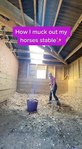 Equestrian Stable Cleaning Guide with Megan Elphick