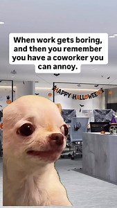 571K views · 17K reactions | Life’s simple pleasures! #worklife #relatable #funnyworkmemes #toxicworkplace #littlethingsinlife | Daniel Cronk | Facebook