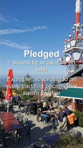 Word of the Day: Pledged #Shorts