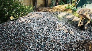 Landscaping Scene Land Being Cleared Garden Stock Footage Video (100% Royalty-free) 1038194228 | Shutterstock