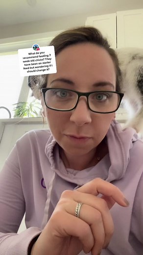 Tips for Feeding Baby Chickens: Answers to Common Questions