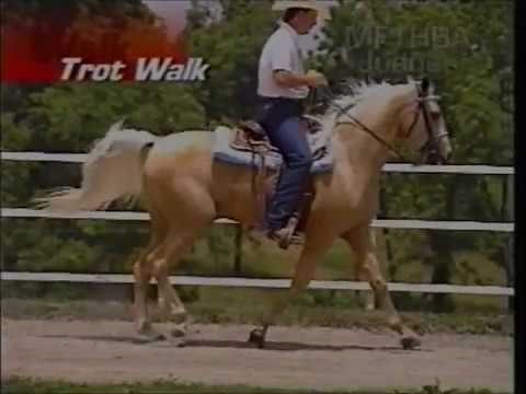 Gaits of the Missouri Fox Trotting Horse