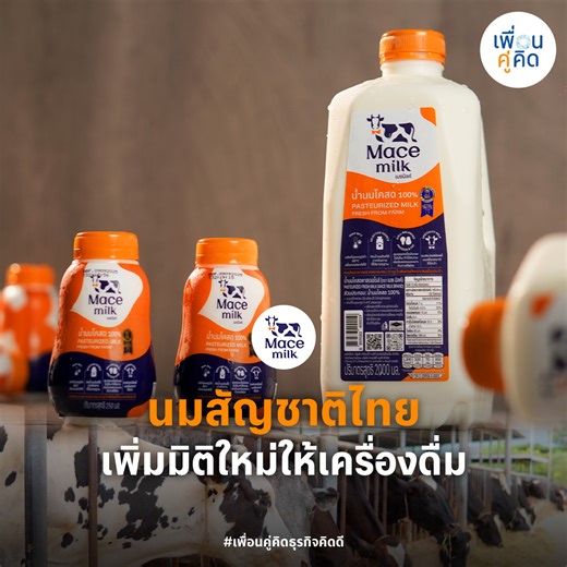 Mace Milk แบรนด์น้ำนมโคสดพาสเจอร์ไรส์หนึ่งเดียวของไทย ที่ได้รับรางวัล Superior Taste Award 2 ดาว จากสถาบัน International Taste Institute พิถีพิถันตั้งแต่ต้นน้ำจนถึงปลายน้ำ ผ่านกระบวนการพาสเจอร์ไรส์เพียง 6 ชั่วโมง เพื่อคงรสชาติและกลิ่นของเครื่องดื่มถ้วยโปรดเอาไว้ได้อย่างสมบูรณ์ ยกระดับนม Speacialty สัญชาติไทยที่เหล่าบาริสต้าต่างให้การยอมรับ | รายการเพื่อนคู่คิด