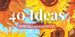 Webinar Replay and 40 Ideas for Growth E-Book