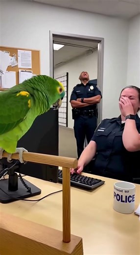 Parrot Officer Miller, your eyes shiny like halogen bulb.
