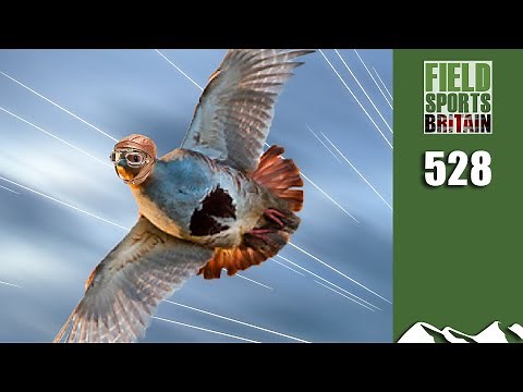 Fieldsports Britain - super 20-bore partridge shoot