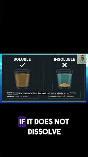 Solute vs Solvent vs Solution | Quick Science Short ⚡