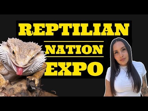 Reptilian Nation Expo 2025