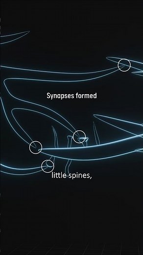 How Neuron Architecture is More Advanced than LLMs