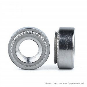 [Hot Item] Self Clinching Nut S-M6-1 Press Nut Lock Nut