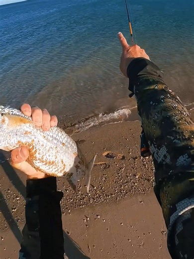 #bowfishing #bowfishing #outdoor #fishing #fyp | bow fishing