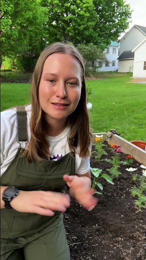 The Best Anti-Inflammatory Herb