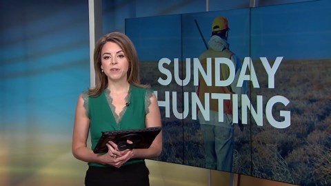 New Sunday hunting dates set for 2025 season by Pa. Game Commission