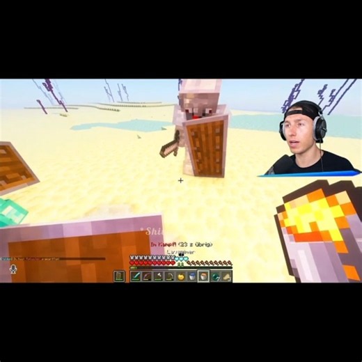 Icrimax kills Alphastein | MC Heroes 3 #minecraft #heroes #icrimax #schmocky #alphastein