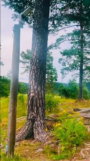 🇳🇴 Exploring Oslo, Norway | Beautiful Streets, Nature & City Tour