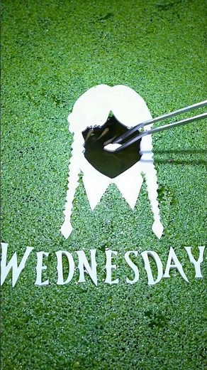 Did Wednesday Lie? 💀