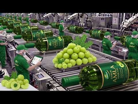 Inside an Amla Hair Oil Factory | How Herbal Hair Oil Is Made | Satisfying ASMR Manufacturing