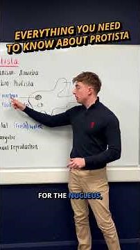 Teacher Tips | Leaving Cert Biology | Everything You Need To Know About Protista