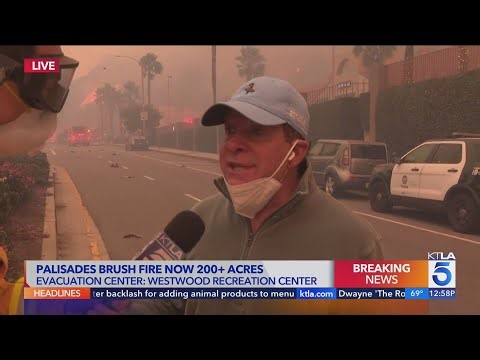 Steve Guttenberg Goes Unrecognized as He Comes to the Rescue of People Evacuating Pacific Palisades Fire