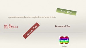 a tour on fermented tea 黑茶之旅