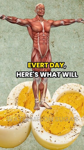 What will happen if you eat eggs every day 🥚🐔 | Watermelon Sugar