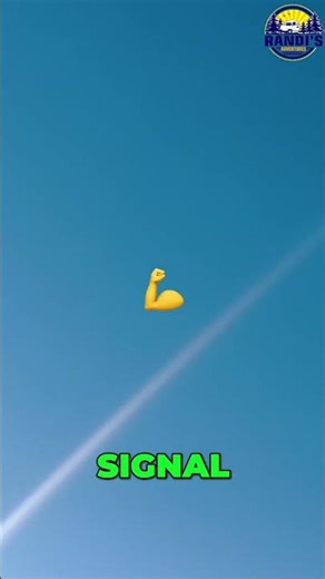 Starlink Mini: Off-Grid Internet Freedom & Flexibility! 📡🏕️ #shorts