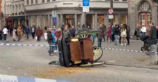 Grave accident dans le centre de Bruges : un cheval prend la fuite et renverse sa calèche, le cocher grièvement blessé
