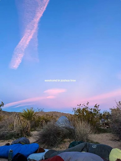 Camping Under the Stars in Joshua Tree