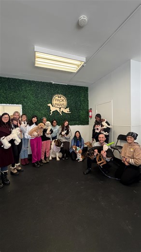 Come behind the scenes for a Pet First Aid & CPR course 🚨 In one day, you’ll learn real life‑saving skills: how to perform CPR, prevent injury and illness, and more. Practice it all with live dogs in a safe, supervised setting and leave with hands-on skills every pet parent and pet pro should have 🐶 Due to demand, we’ve added another date on May 3 and registration is now open. Tap the link in bio or visit our Eventbrite page for details 🐾 Tag a friend who needs this 👇 Pet First Aid • Pet Par