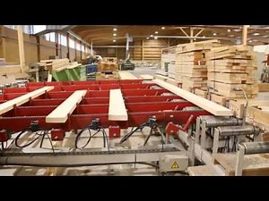 EasyScan + OptiCut 450 chop - construction timber - Stabilame