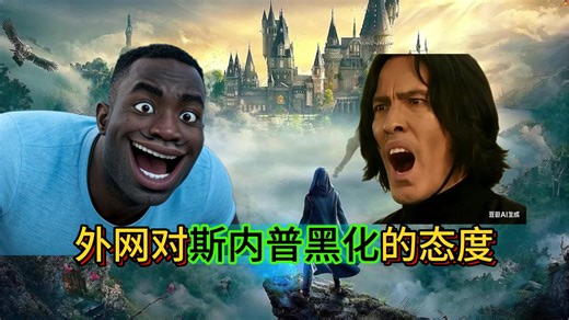 【哈利波特】外网对【斯内普黑化】的态度
