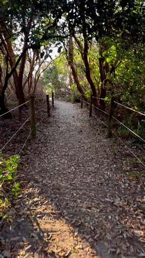 Mindfulness Techniques for Addiction Recovery Success