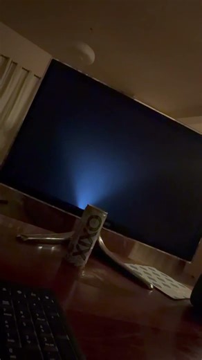 Pov: your computer dies #bug #scary #computer