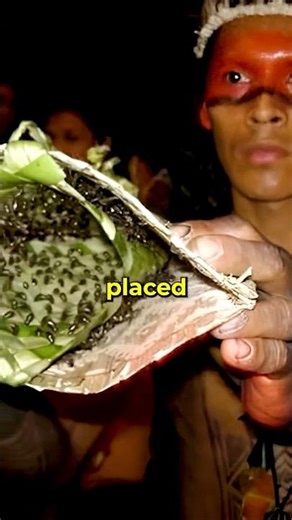 World’s Most Deadly Ant Ritual 🐜