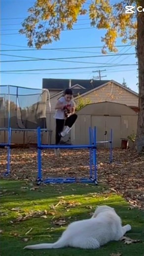 Mocha that was not necessary #hobbyhorse #hobbyhorsing #highjump #fypシ゚viral #horse #jumping