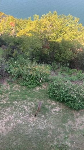 $MONA$ (@theonlymoneymona)’s videos with original sound - $MONA$