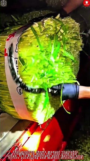 Vegetable Trimming Work – Manual Trimming After Harvest #work