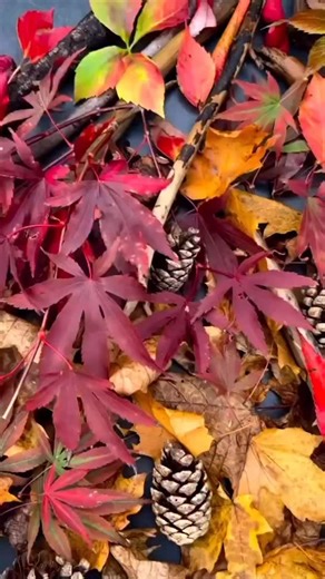 “This week everything will be about Bonfire Night!” It’s easy when there’s a special day or time of year to dress all your provision around that particular theme. In my first year of teaching, when it was Bonfire Night, I would dress all my areas of provision around this theme for the week — enhancing each area with things like: ✨ Firework-themed playdough mats ✨ Red and yellow cellophane and kitchen roll tubes on the junk modelling table ✨ Black sugar paper on the art easel with luminous paint 