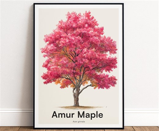 Amur Maple Tree Print, Botanical Wall Art, Minimalist Nature Poster, Autumn Decor - Etsy