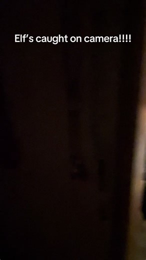 Elf's Caught on Camera: Hilarious Shelf Antics