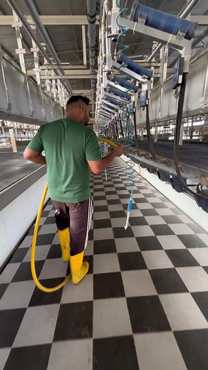 NS Dairy Farm: Providing Quality Dairy Milk Everyday